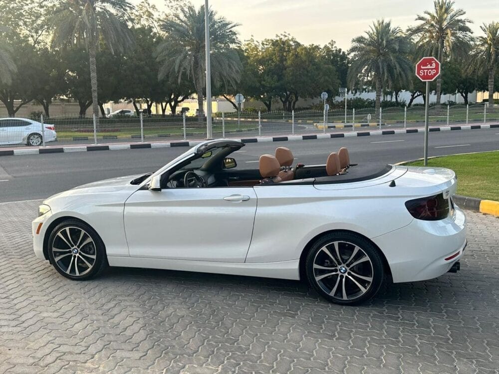 BMW 230i Convertible 2021 - Image 18