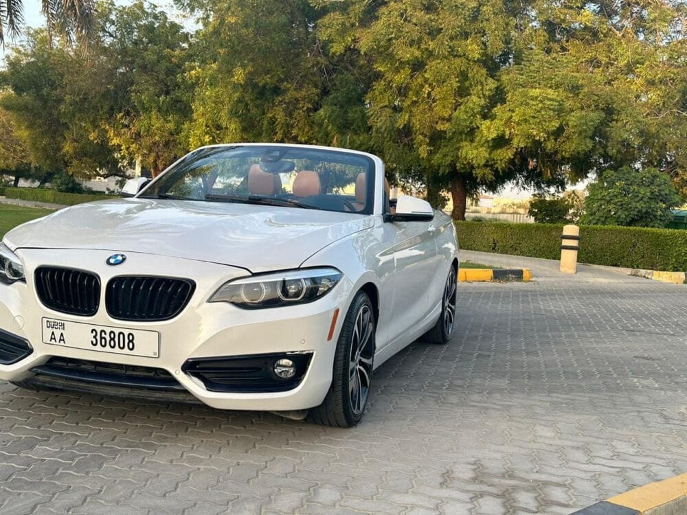 BMW 230i Convertible 2021 - Image 24